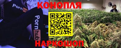 амф Будённовск