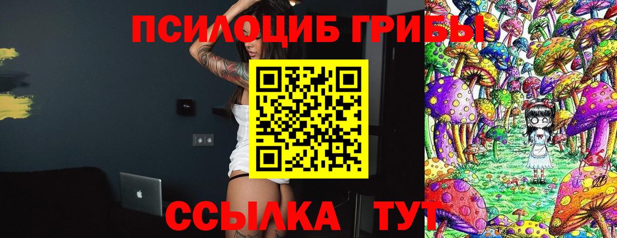 Галлюциногенные грибы прущие грибы Саратов